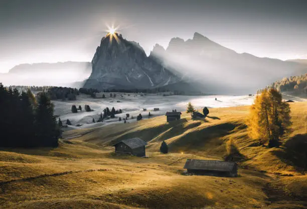 Nature landscape at sunrise on a misty morning in the yellow autumn grass hills with sun rays, fog and sunbeams through pine trees and cabins in Alpe di Siusi or Seiser Alm area at beautiful sunset, Dolomites mountain, Italia