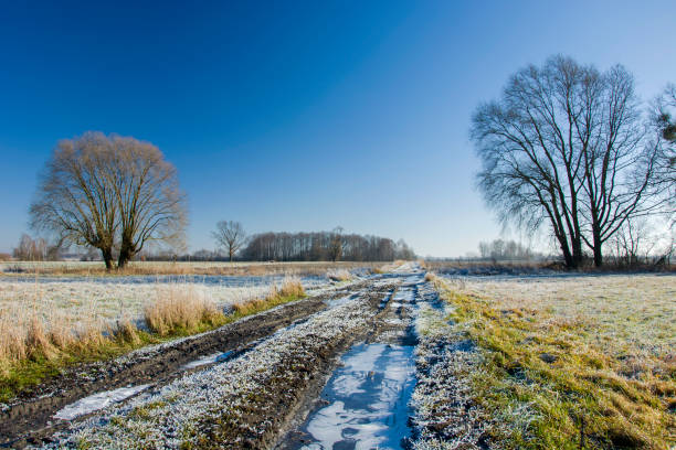 istock Frozen dirt road through meadows, trees and blue sky 1199312603