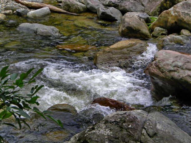 istock clean water in preserved area 1199314354