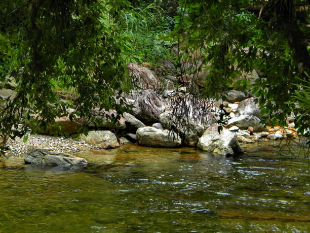 istock clean water in preserved area 1199314370