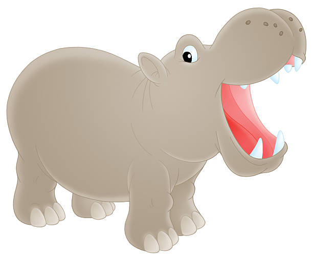 Hippo Open Mouth Illustrations, Royalty-Free Vector Graphics & Clip Art -  iStock