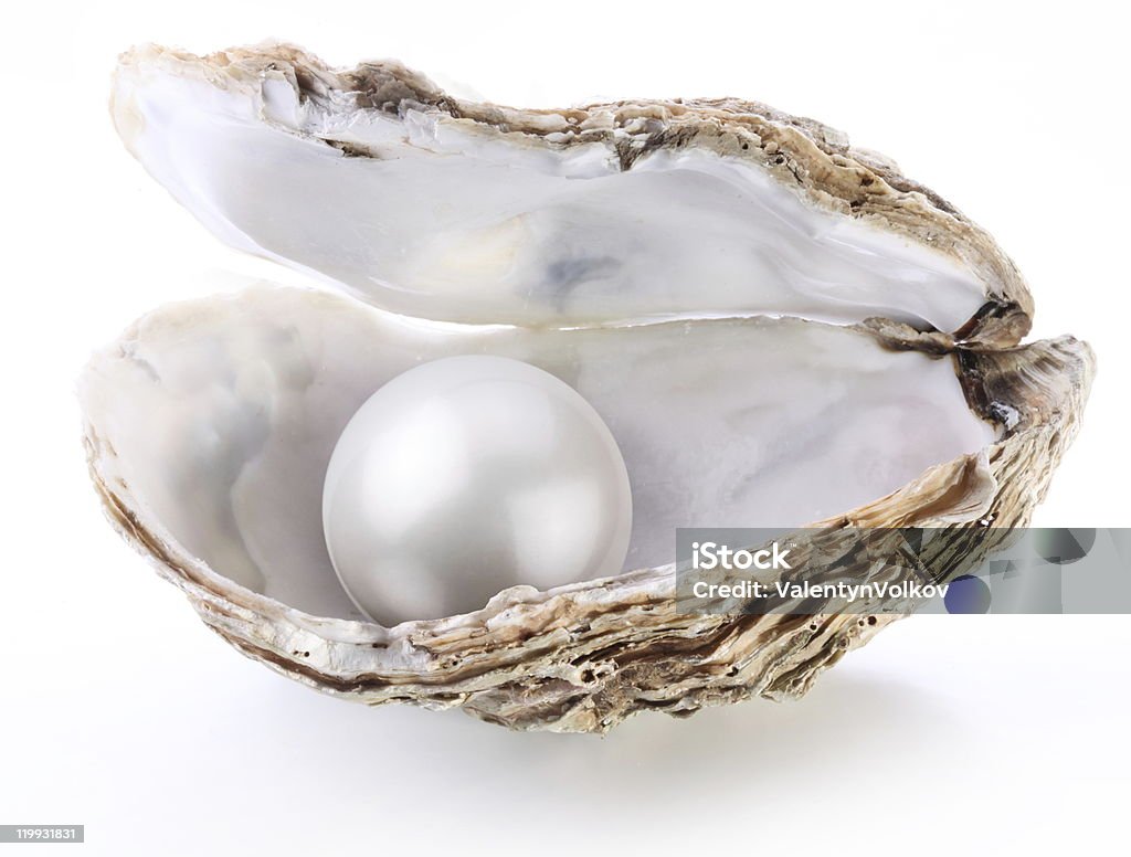 Imagen de blanco pearl en la carcasa. - Foto de stock de Perla libre de derechos