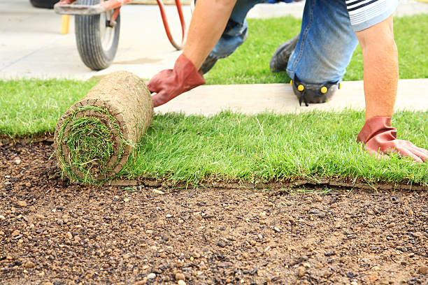 istock A worker laying down sod for a new lawn 119931873