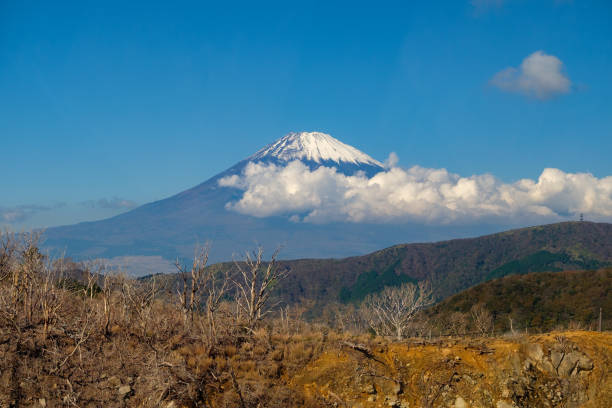 istock Mt Fuji as seen from Hakone 1199321810