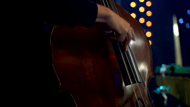 Playing double bass with hands plucking strings close up. Mn musician fingers performing pizzicato technique contrabass double bass cello rhythm at live jazz concert on stage. Acoustic bass instrument