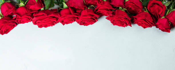istock Roses on a white conctere background. 1199334112