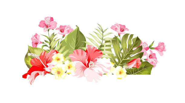 illustrazioni stock, clip art, cartoni animati e icone di tendenza di bouquet di fiori esotici di colore bud ghirlanda. etichetta con fiori di ibisco. bouquet di fiori tropicali aromatici. modello di biglietto d'invito con fiori colorati di alstroemeria. - circle nature botany bud