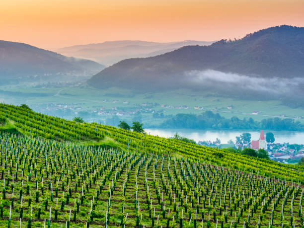 регион долина реки дунай в австрии - danube river danube valley river valley стоковые фото и изображения