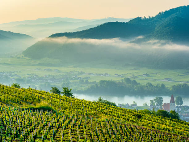 The Danube River Valley region of Austria