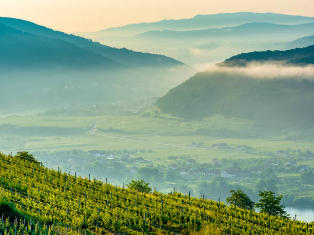 istock The Danube River Valley region of Austria 1199338573