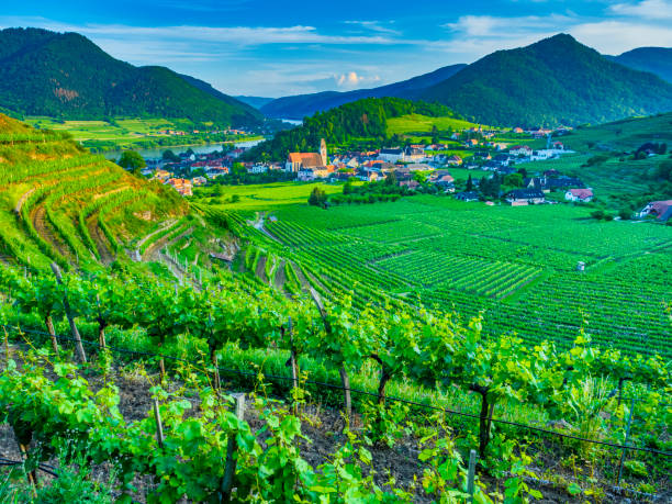 istock The Danube River Valley region of Austria 1199338637