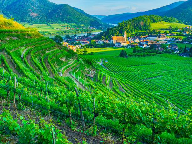 istock The Danube River Valley region of Austria 1199338671