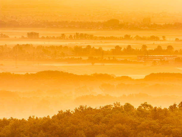 View of the Danube River Valley at dawn with surrounding vineyards in Austria