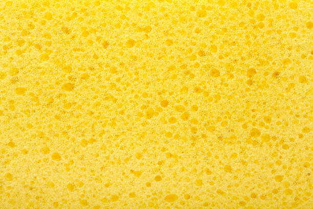 Sponge texture  bath sponge photos stock pictures, royalty-free photos & images
