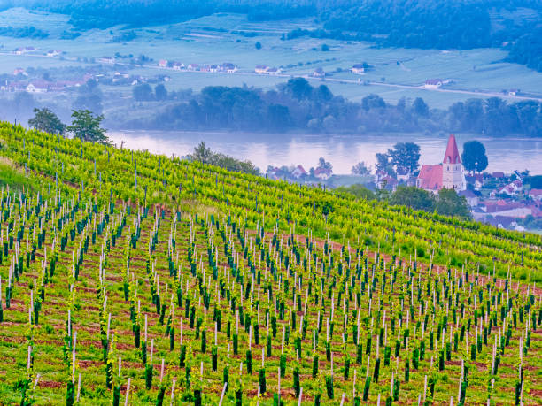 istock The Danube River Valley region of Austria 1199338890