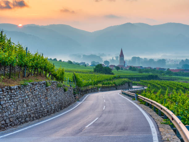 istock The Danube River Valley region of Austria 1199338891