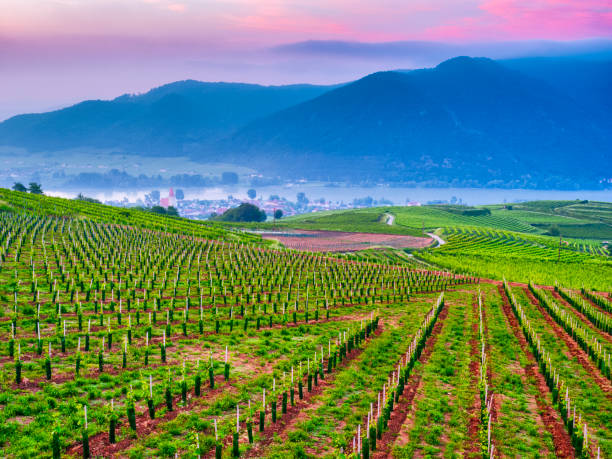 istock The Danube River Valley region of Austria 1199338904