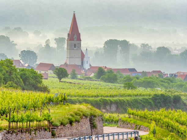 istock The Danube River Valley region of Austria 1199338928