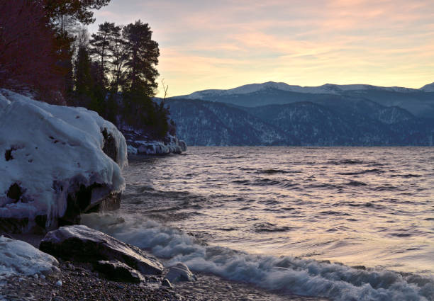 Teletskoye lake does not freeze in winter. Waves of surf, snow, ice and icicles, rocks on the shore, mountains and Golden dawn sky in the distance. Without people, a place for text, nature of Siberia, Russia, Gorny Altai, 2020