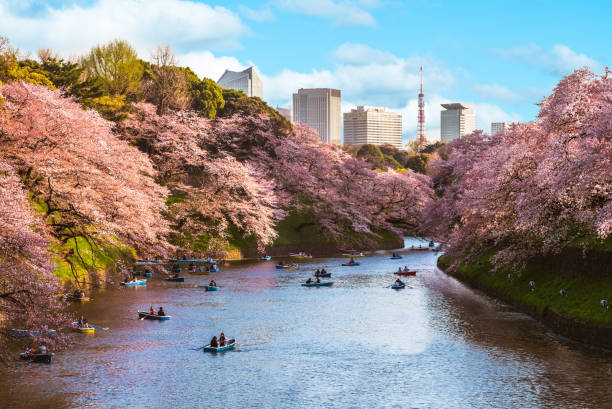 istock chidori ga fuchi, tokyo 1199342584