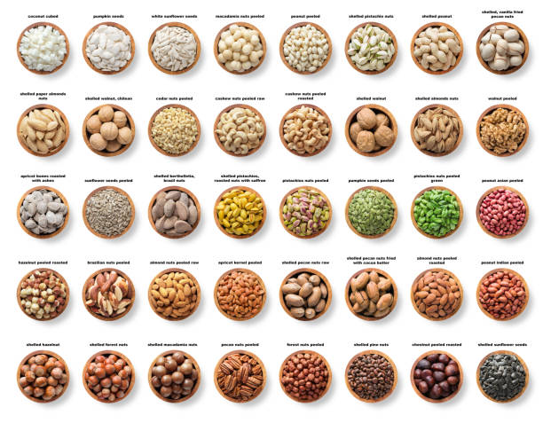 collection nuts and seeds isolated on white background. pecans, hazelnuts, walnuts, pistachios, almonds, macadamia, cashews, peanuts, sunflower, coconut, apricot kernel, pumpkin seeds, pine and brazil nuts.