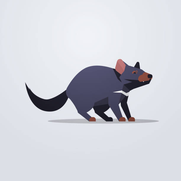 Tasmanian devil rat icon cute cartoon wild animal symbol with shadow wildlife species fauna concept flat Tasmanian devil rat icon cute cartoon wild animal symbol with shadow wildlife species fauna concept flat vector illustration tasmanian stock illustrations