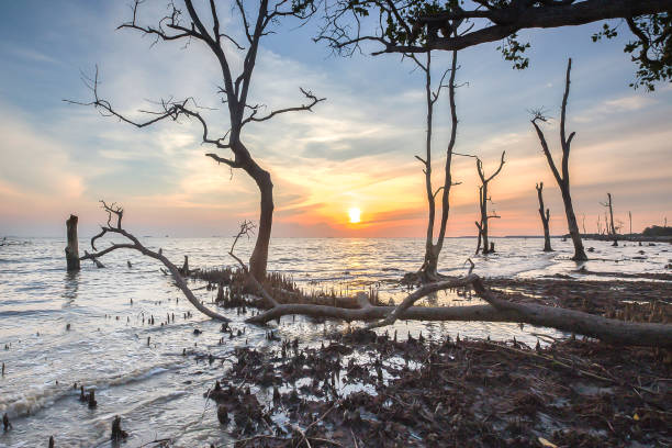 istock Amazing sunset at tropical beach with cloud on the sky. 1199351450