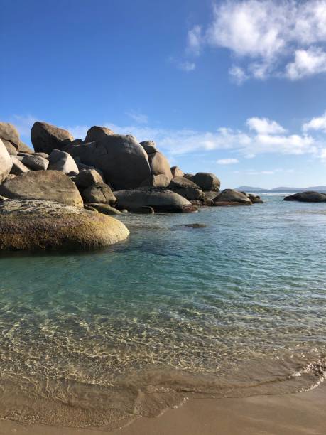 istock Whisky Bay, Wilson's Promontory National Park 1199352528