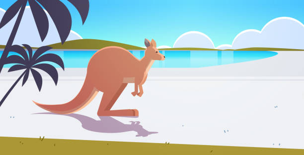 110 Kangaroo Beach Illustrations & Clip Art - iStock | Australia kangaroo  beach, Kangaroo beach beer