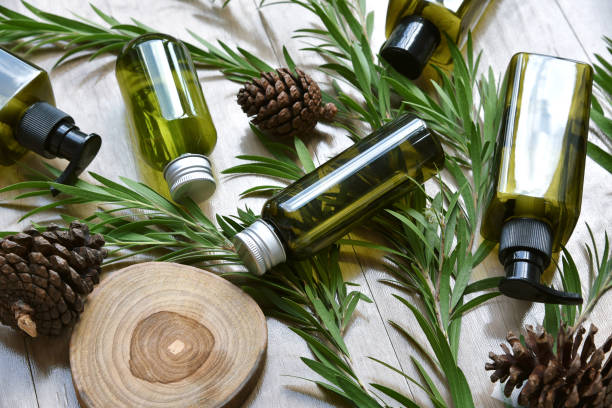 Cosmetic bottle containers packaging with green herbal leaves, Blank label for organic branding mock-up, Natural skincare beauty product concept.
