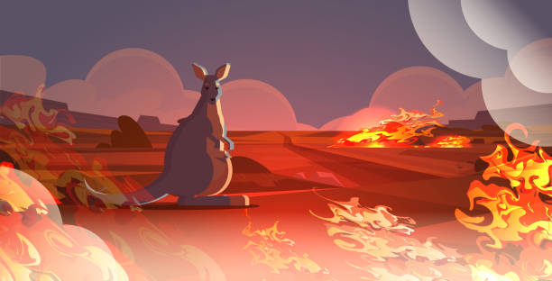 istock wallaby with baby escaping from fires in australia animals dying in wildfire bushfire natural disaster concept intense orange flames horizontal 1199364246