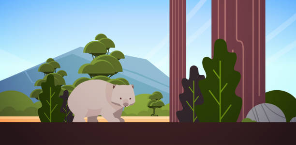 wombat walking in forest australian wild animal wildlife fauna concept landscape background horizontal wombat walking in forest australian wild animal wildlife fauna concept landscape background horizontal vector illustration wombat stock illustrations