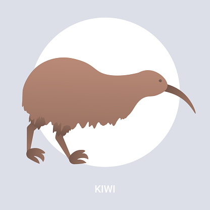 Ilustración de Icono Kiwi Marrón Dibujos Animados En Peligro De Animal  Salvaje Australiano Símbolo Especie Fauna Fauna Concepto De Vector Plano  Ilustración y más Vectores Libres de Derechos de Abstracto - iStock