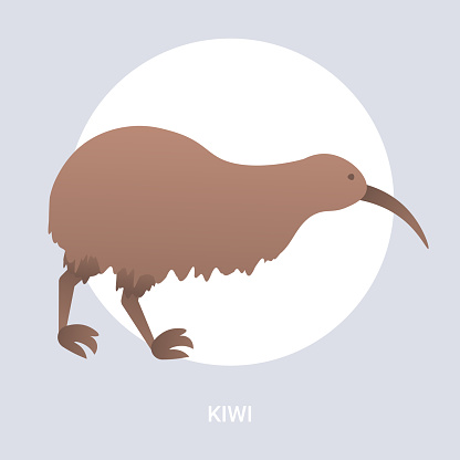 Ilustración de Icono Kiwi Marrón Dibujos Animados En Peligro De Animal Salvaje Australiano Símbolo Especie Fauna Fauna Concepto De Vector Plano Ilustración y más Vectores Libres de Derechos de Abstracto - iStock Ilustración de Icono Kiwi Marrón Dibujos Animados En Peligro De Animal Salvaje Australiano Símbolo Especie Fauna Fauna Concepto De Vector Plano Ilustración y más Vectores Libres de Derechos de Abstracto - iStock