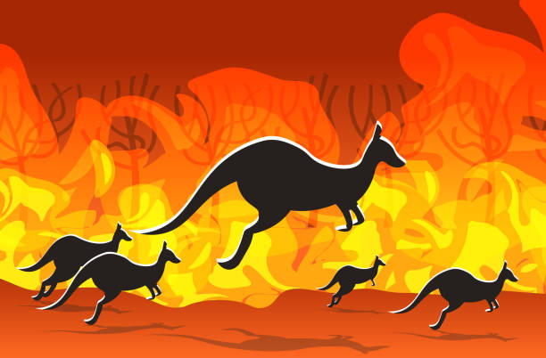 istock kangaroo running from forest fires in australia animals dying in wildfire bushfire burning trees natural disaster concept intense orange flames horizontal 1199365207