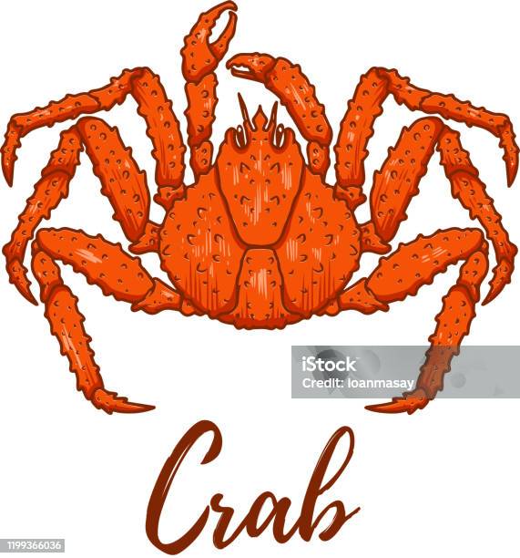 Illustration Of Japanese Spider Crab Design Element For Label Sign