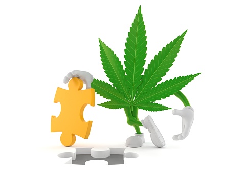 Cannabis character with jigsaw puzzle isolated on white background. 3d illustration