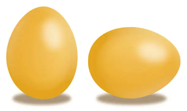 Vector illustration of Two Gold Eggs