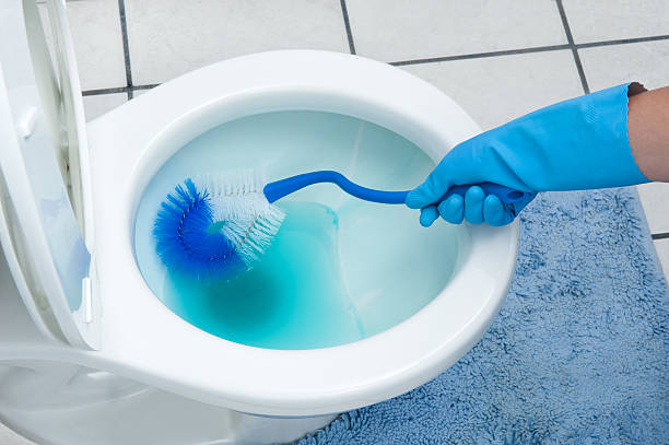 Hand using gloves while cleaning a toilet A woman cleans a bathroom toilet with a scrub brush. toilet brush photos stock pictures, royalty-free photos & images