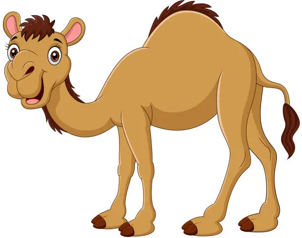 Vector illustration of Cartoon camel isolated on white background