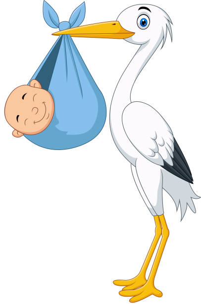 Cartoon stork carrying a newborn Vector Illustration of Cartoon stork carrying a newborn stork stock illustrations