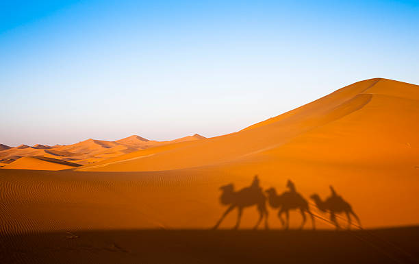 istock Three silhouettes of men on camels going through the desert  119937494