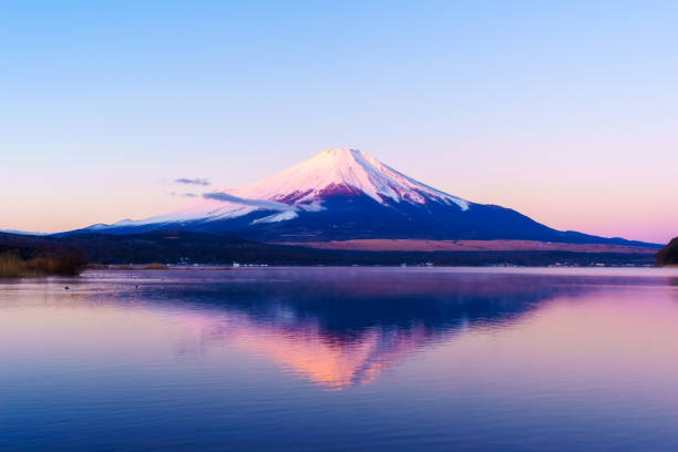 istock Mt. Fuji from Lake Yamanaka 1199377773