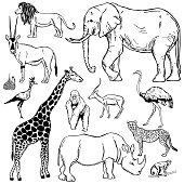 istock African animals. Vector sketch illustration. 1199385692