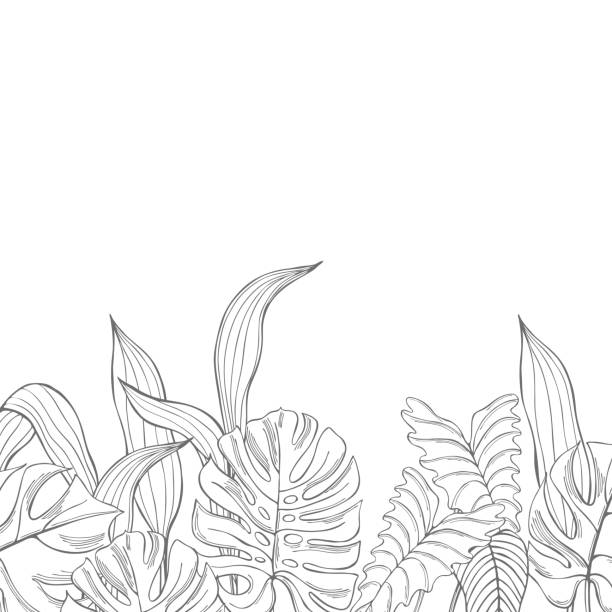 熱帯植物とベクターの背景。 - 5442点のイラスト素材／クリップアート素材／マンガ素材／アイコン素材