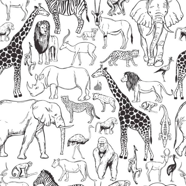 Vector pattern with african animals. Hand drawn african animals and birds on white background. Vector seamless pattern. elephant drawings stock illustrations