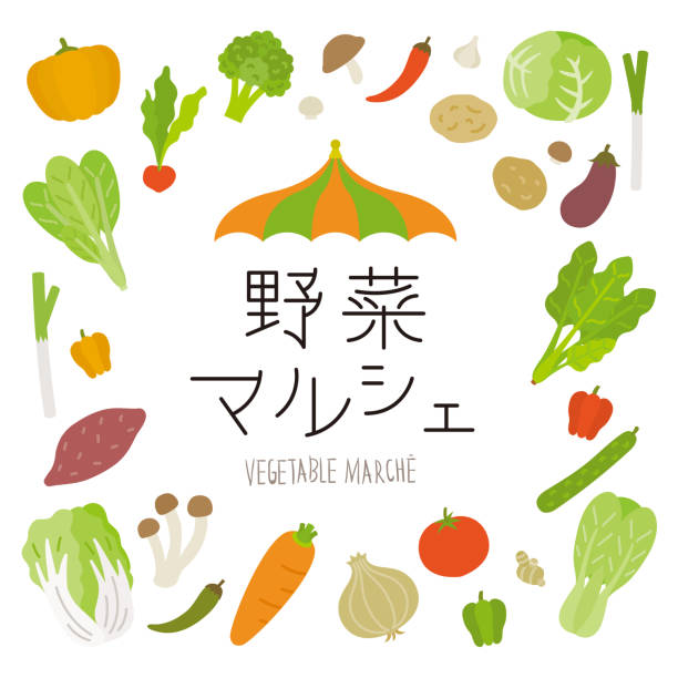 frischgemüse-set (vektor) - cabbage with pepper stock-grafiken, -clipart, -cartoons und -symbole