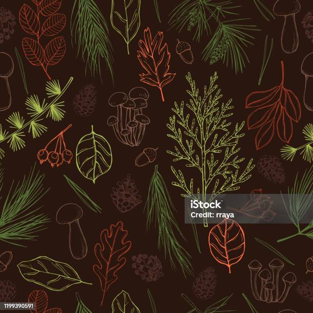 Bg Vector Pattern Forest Forest Vector Seamless Pattern Stock Illustration - Download Image Now ...
