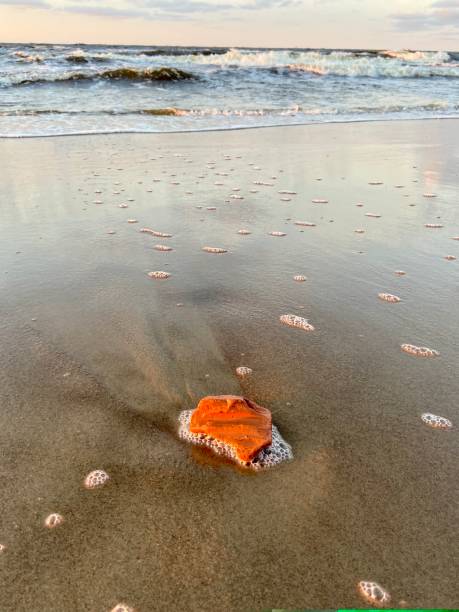 istock Baltic Sea autumn coast beach Bolderaja Riga Latvia 1199393600
