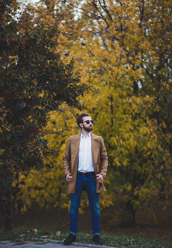 Handsome man in the autumn park.